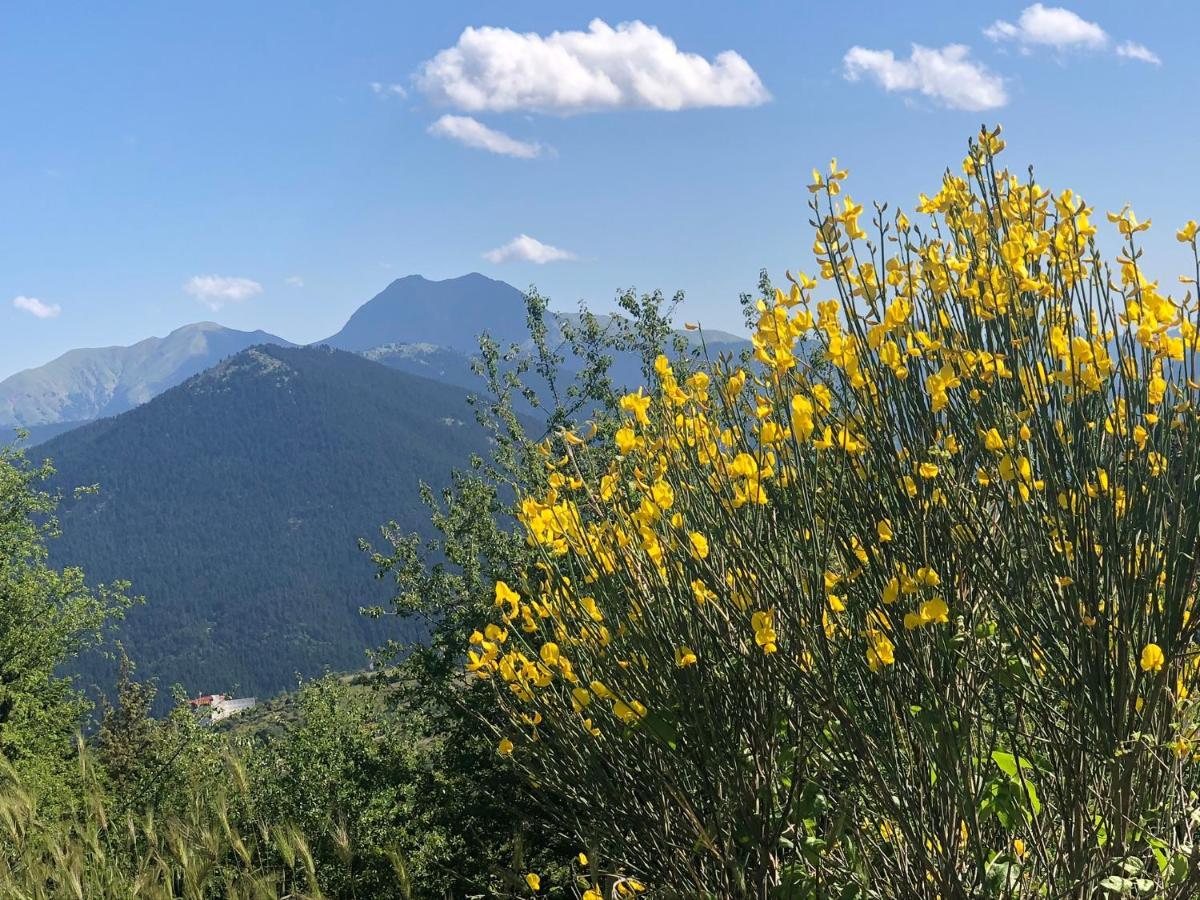 Willows Holiday home Karpenisi