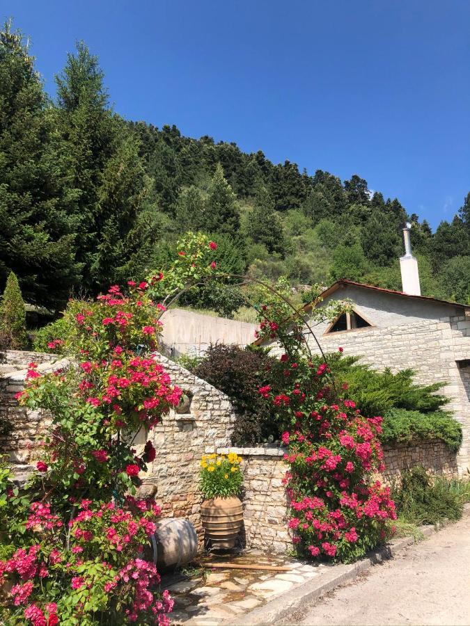 Willows Holiday home Karpenisi